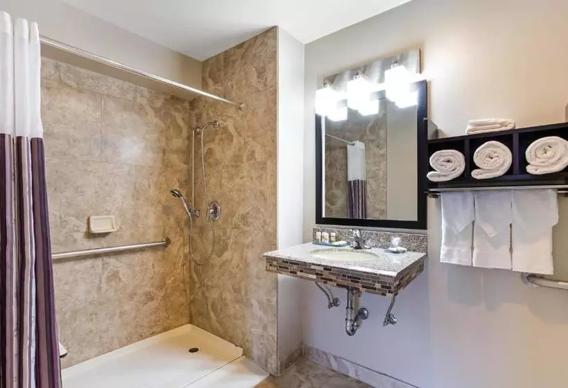 Fotos del hotel Best Western Plus Hyde Park Chicago:  8