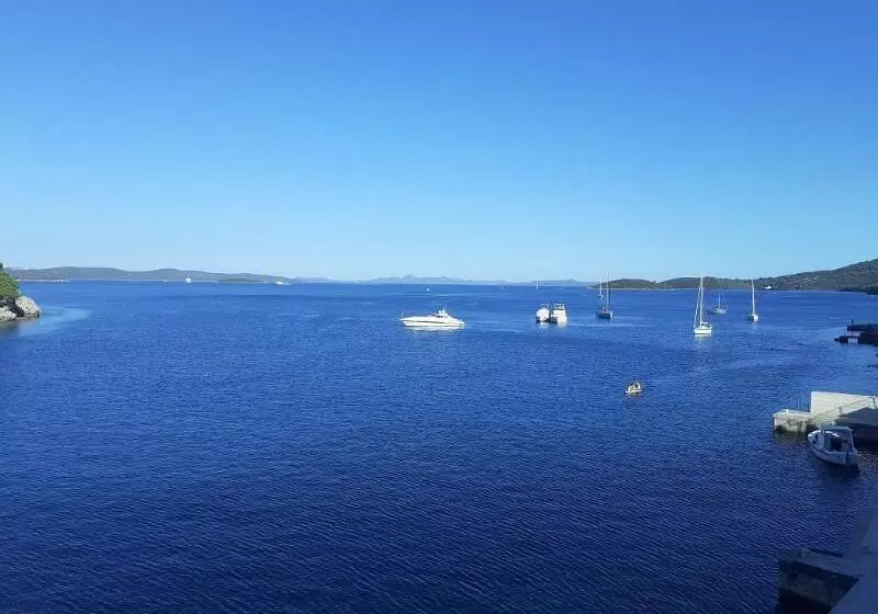 Fotos del hotel Maxim:  13