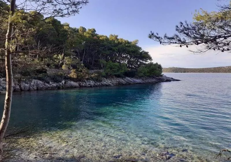 Fotos del hotel Maxim:  15