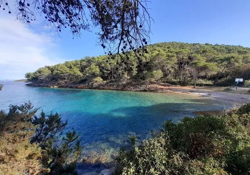 Fotos del hotel Maxim:  16