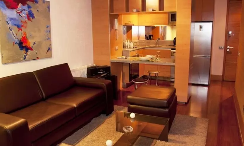 Fotos del hotel Austral Suites:  11