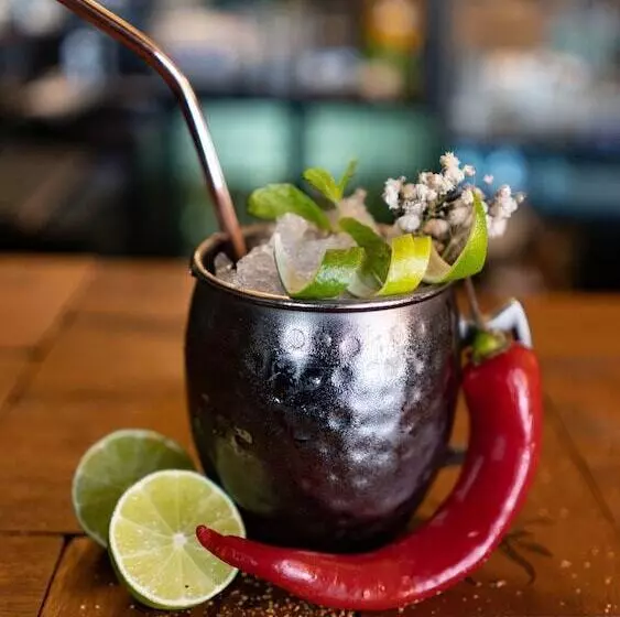 Fotos del hotel Airport Hotel Casino Du Cap-vert:  25