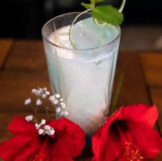 Fotos del hotel Airport Hotel Casino Du Cap-vert:  16