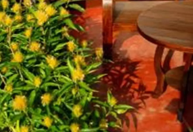 Fotos del hotel Bb Mantra Boutique:  10