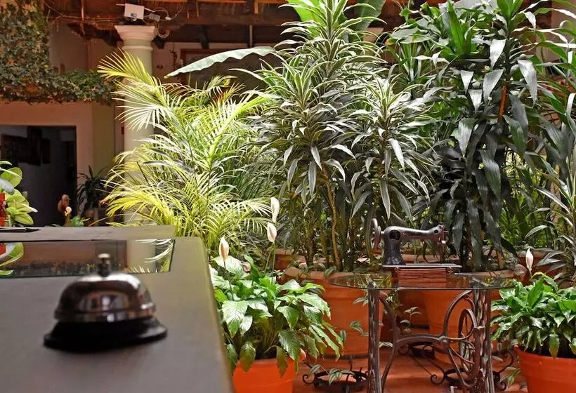 Fotos del hotel San Luis:  10