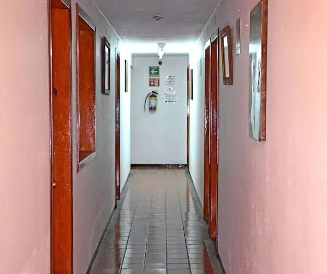 Fotos del hotel San Luis:  12