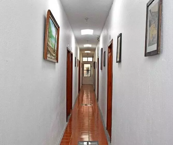 Fotos del hotel San Luis:  2