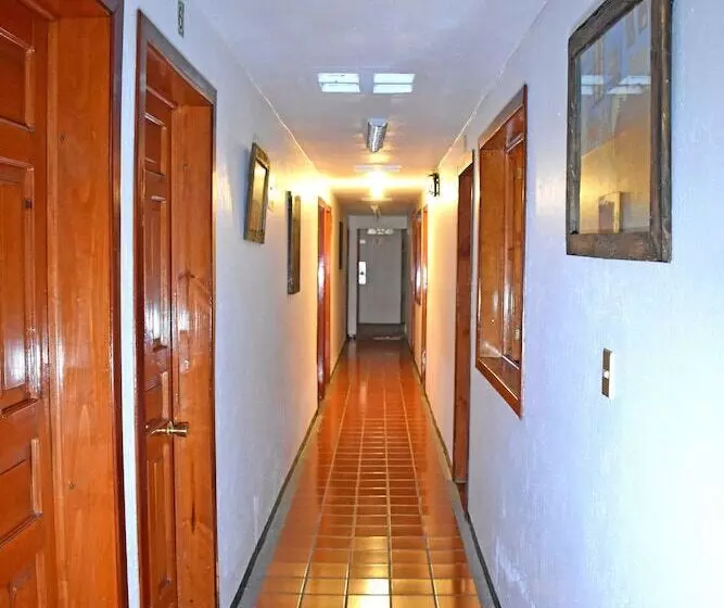 Fotos del hotel San Luis:  14