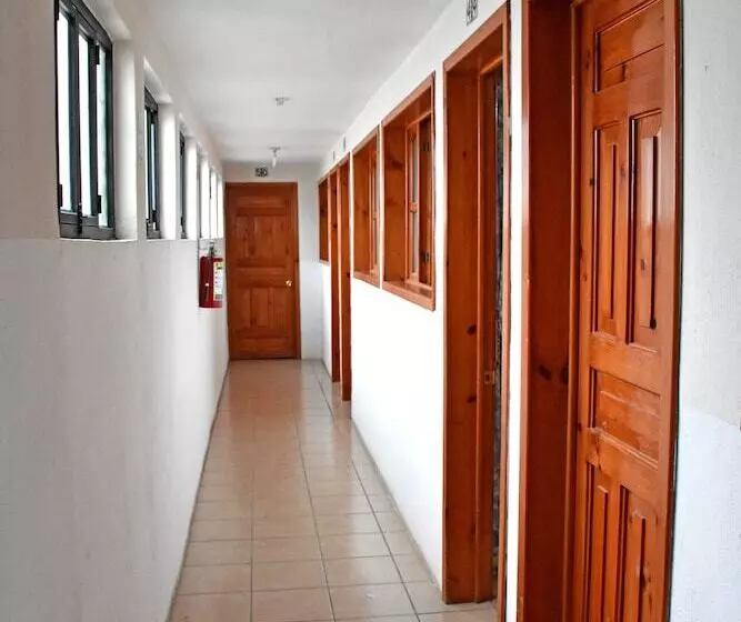 Fotos del hotel San Luis:  7