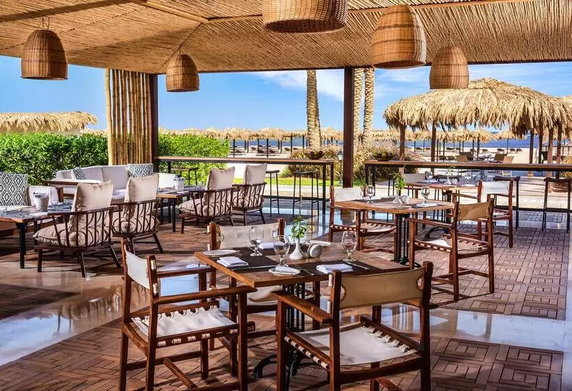 Fotos del hotel Steigenberger Alcazar:  24