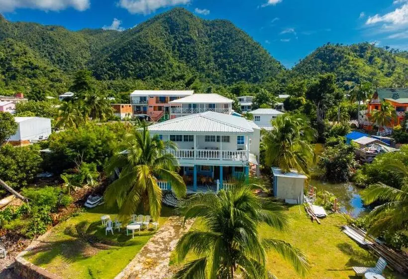 Fotos del hotel El Pirata Morgan:  7