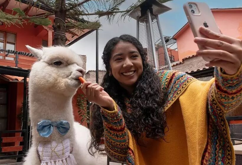 Fotos del hotel Union Hotel Cusco:  18