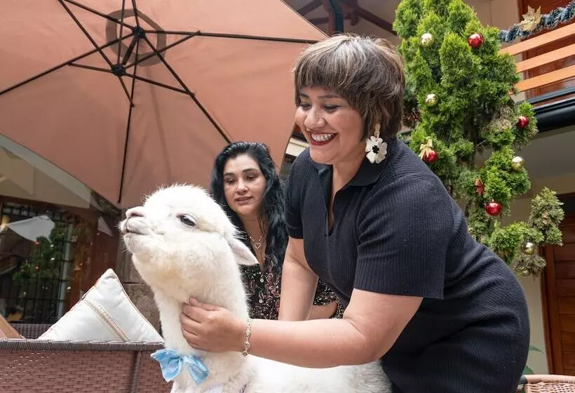 Fotos del hotel Union Hotel Cusco:  8