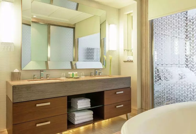 Fotos del hotel Hilton Dubai Al Habtoor City:  47