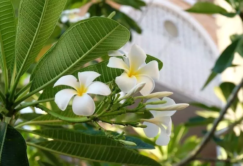 Fotos del hotel Phuket Racha@kata Bed&breakfast:  7