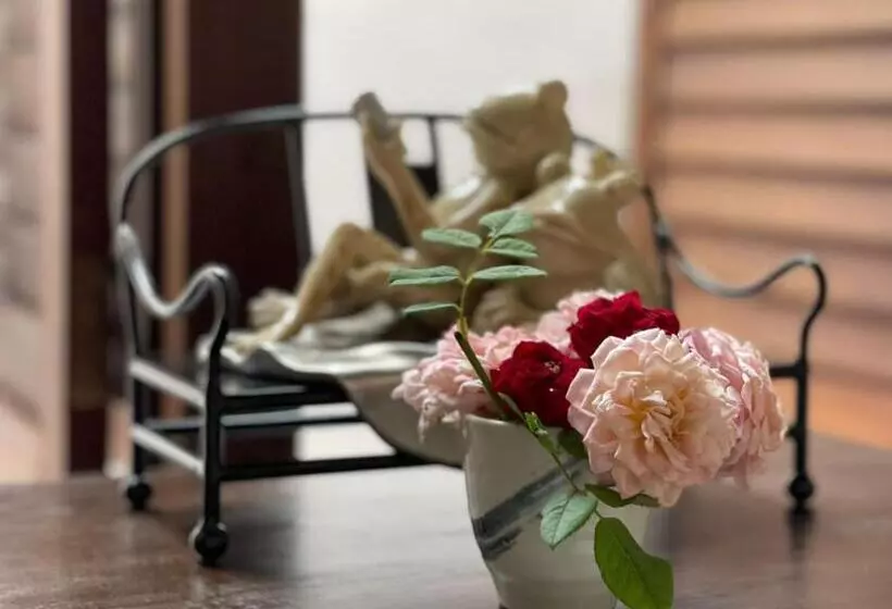 Fotos del hotel Betel Nut Lodge  Adult Only:  19