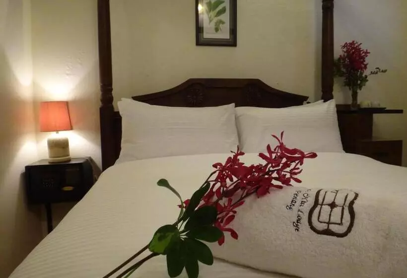 Fotos del hotel Betel Nut Lodge  Adult Only:  14