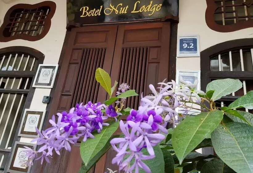 Betel Nut Lodge  Adult Only