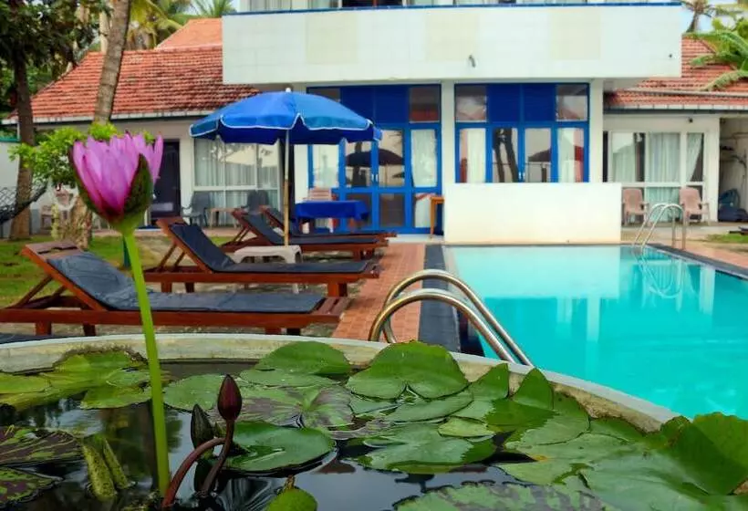 Fotos del hotel Edelweiss Resort:  12