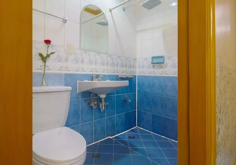 Fotos del hotel Nature's Pensionne House:  4