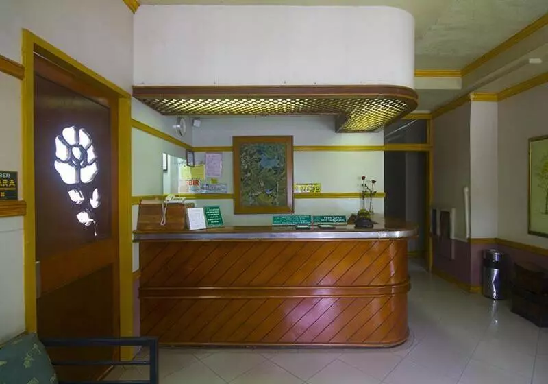 Fotos del hotel Nature's Pensionne House:  3