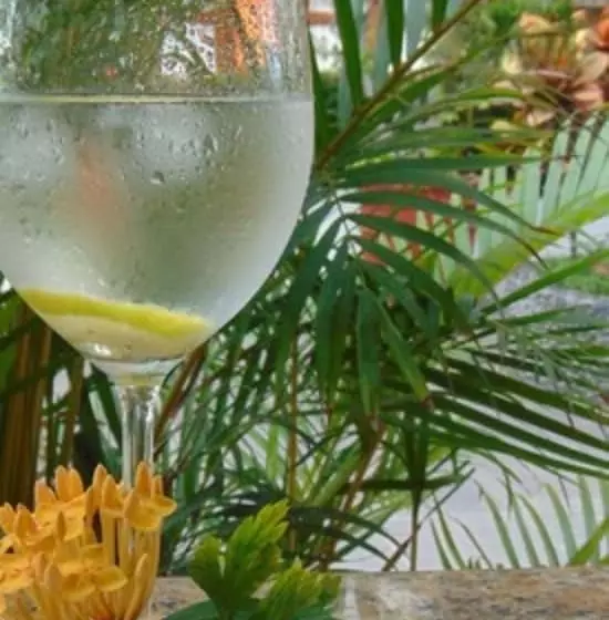 Fotos del hotel Pez Vela:  9