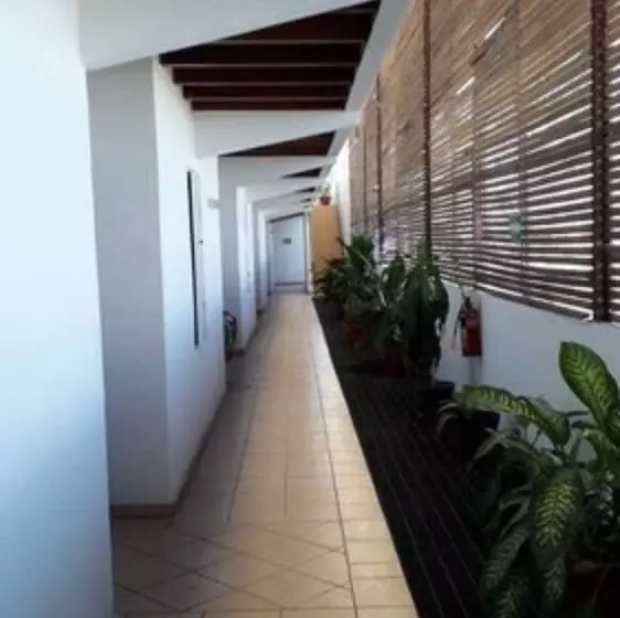 Fotos del hotel Pez Vela:  4