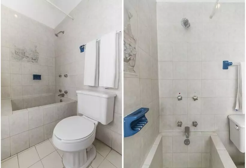 Fotos del hotel Quinta Loreto:  4