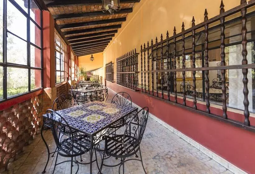 Fotos del hotel Quinta Loreto:  8