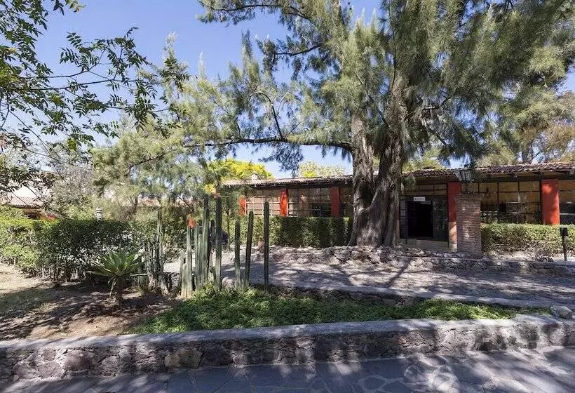 Fotos del hotel Quinta Loreto:  14