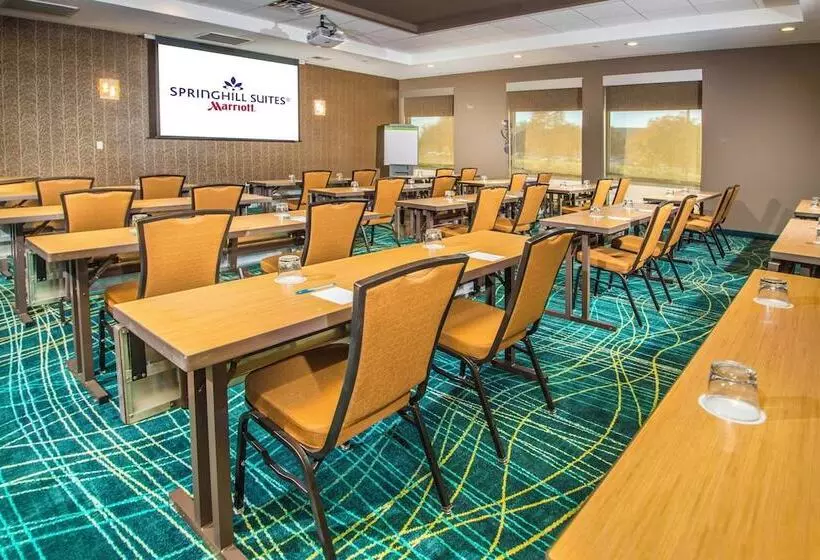 Fotos del hotel Springhill Suites By Marriott Houston Westchase:  6