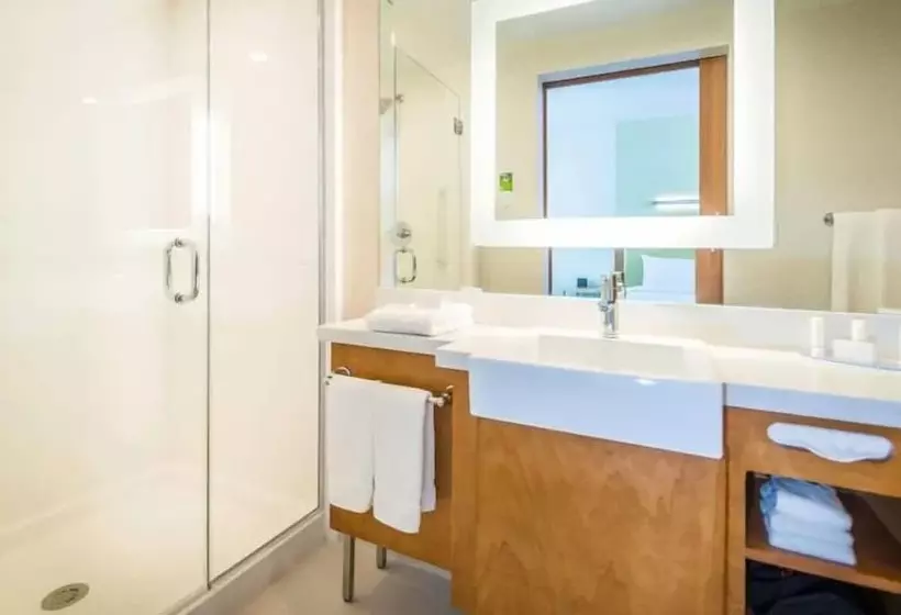 Fotos del hotel Springhill Suites By Marriott Houston Westchase:  7