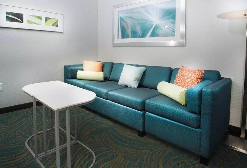 Fotos del hotel Springhill Suites By Marriott Houston Westchase:  23