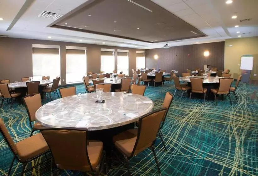 Fotos del hotel Springhill Suites By Marriott Houston Westchase:  14
