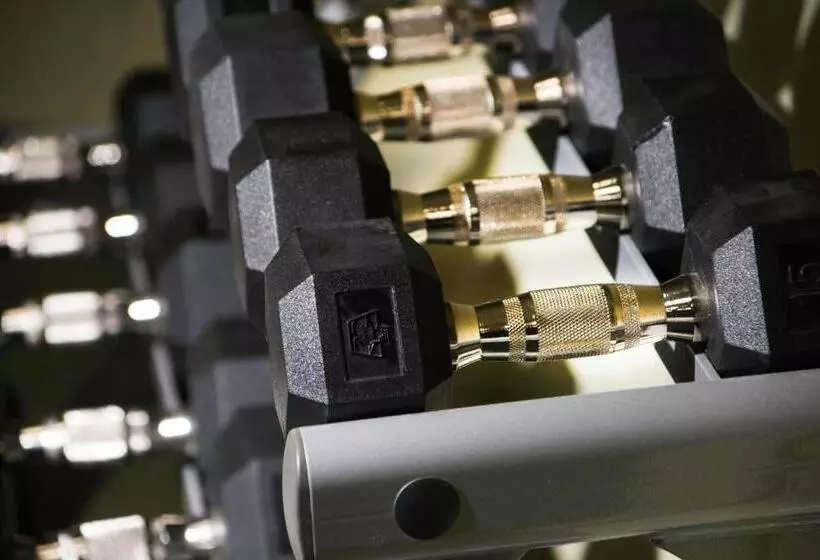 Fotos del hotel Springhill Suites By Marriott Houston Westchase:  8