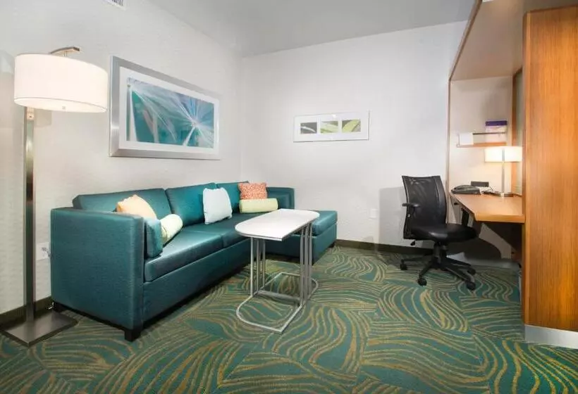 Fotos del hotel Springhill Suites By Marriott Houston Westchase:  20
