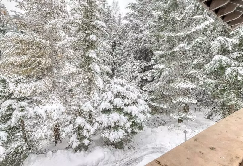 Fotos del hotel Resortquest At Stoney Creek Sunpath:  10