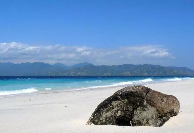 Fotos del hotel Tamoa Boutique:  7