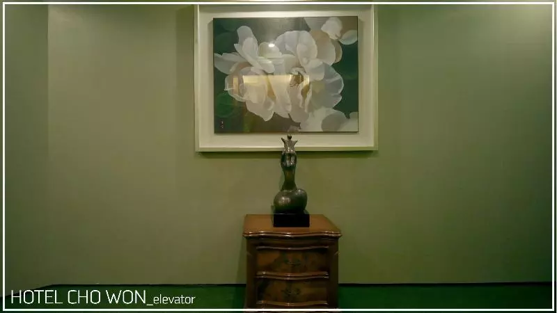 Fotos del hotel Chowon:  21