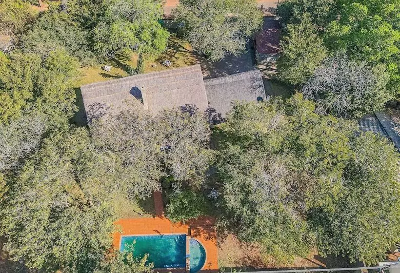 Fotos del hotel Mopani Lodge:  6