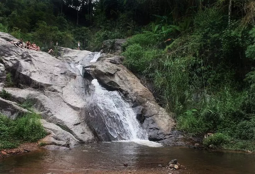 Fotos del hotel Pura Vida Pai Resort:  6