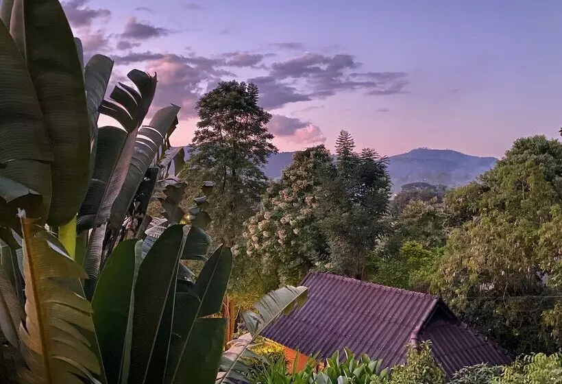 Fotos del hotel Pura Vida Pai Resort:  11