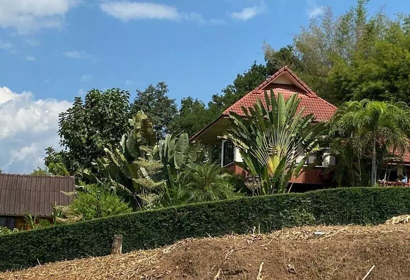 Fotos del hotel Pura Vida Pai Resort:  14