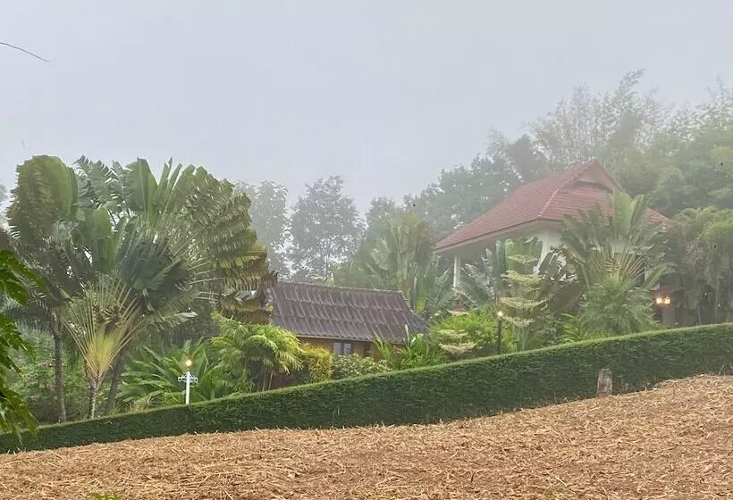 Fotos del hotel Pura Vida Pai Resort:  13