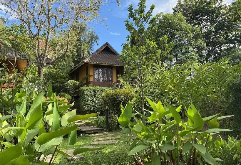 Fotos del hotel Pura Vida Pai Resort:  17