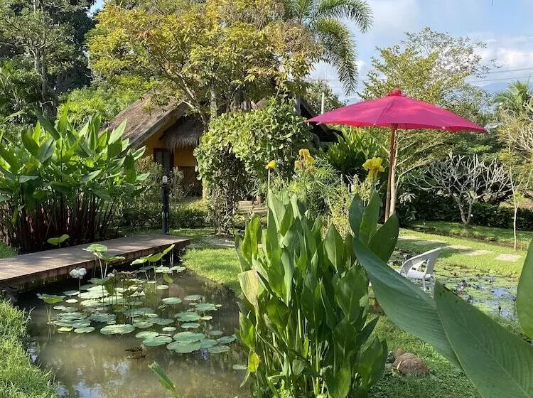 Fotos del hotel Pura Vida Pai Resort:  20