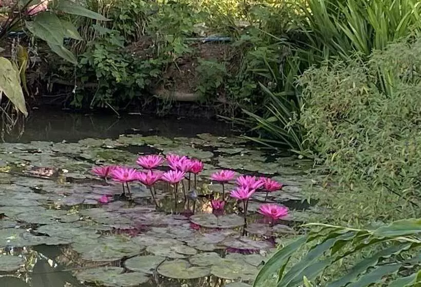 Fotos del hotel Pura Vida Pai Resort:  3