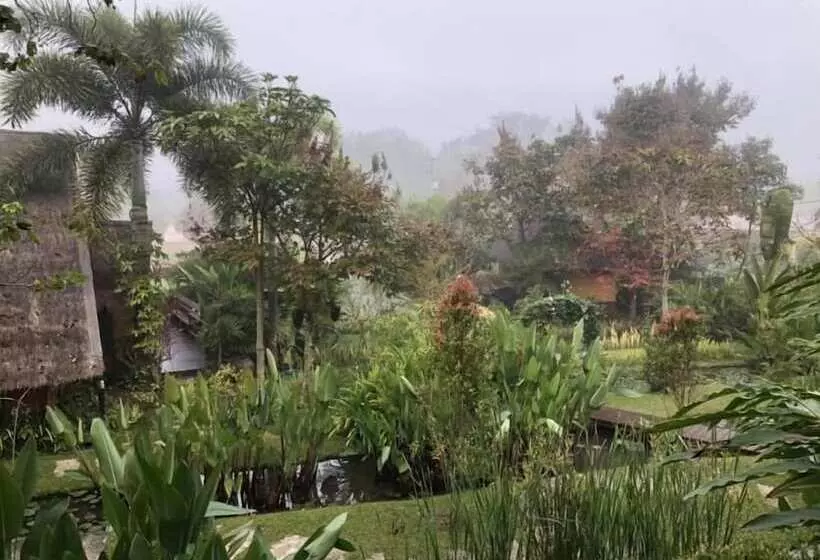 Fotos del hotel Pura Vida Pai Resort:  8