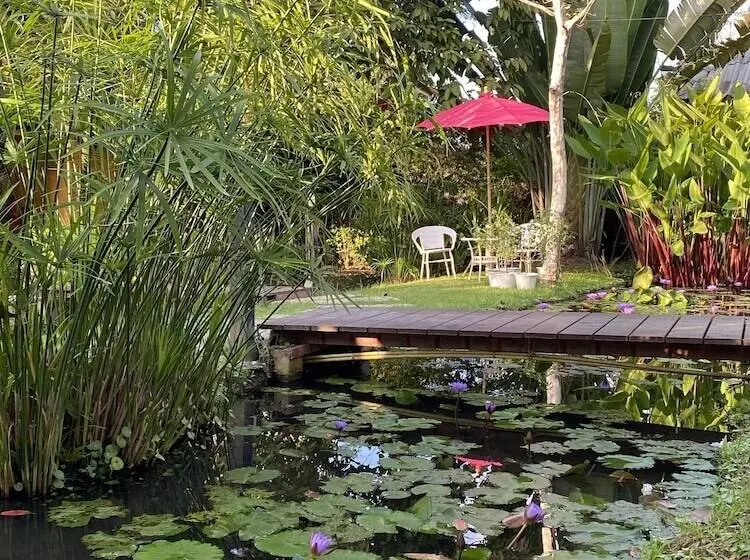 Fotos del hotel Pura Vida Pai Resort:  22