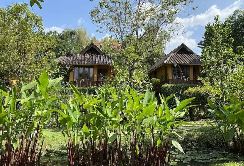 Fotos del hotel Pura Vida Pai Resort:  16